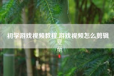 初学游戏视频教程,游戏视频怎么剪辑