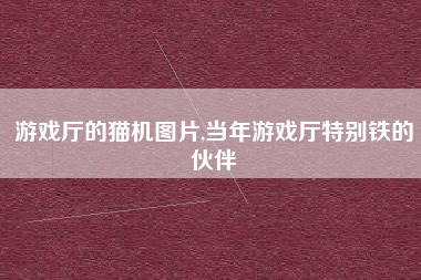 游戏厅的猫机图片,当年游戏厅特别铁的伙伴