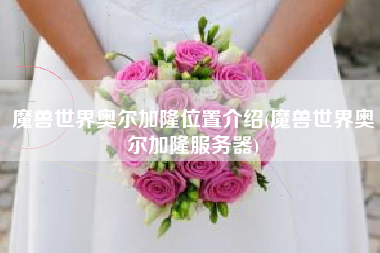 魔兽世界奥尔加隆位置介绍(魔兽世界奥尔加隆服务器)