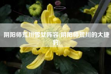 阴阳师荒川雪女阵容(阴阳师荒川的大捷豹)