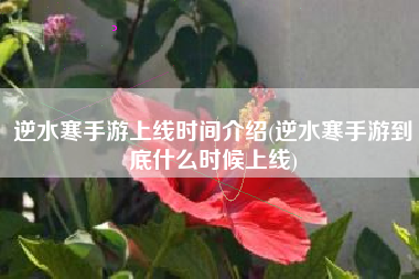 逆水寒手游上线时间介绍(逆水寒手游到底什么时候上线)
