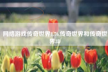 网络游戏传奇世界1.76,传奇世界和传奇世界3D
