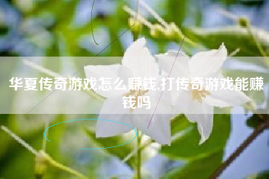 华夏传奇游戏怎么赚钱,打传奇游戏能赚钱吗