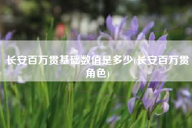 长安百万贯基础数值是多少(长安百万贯角色)