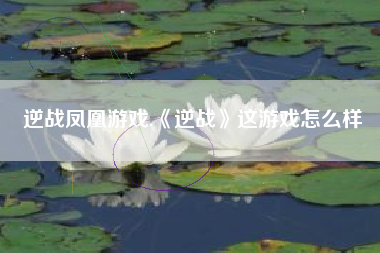 逆战凤凰游戏,《逆战》这游戏怎么样
