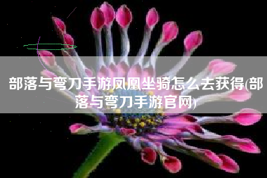 部落与弯刀手游凤凰坐骑怎么去获得(部落与弯刀手游官网)