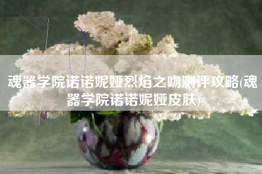 魂器学院诺诺妮娅烈焰之吻测评攻略(魂器学院诺诺妮娅皮肤)