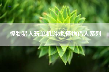 怪物猎人玩单机游戏,怪物猎人系列