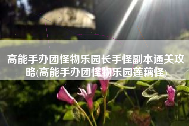 高能手办团怪物乐园长手怪副本通关攻略(高能手办团怪物乐园莲藕怪)