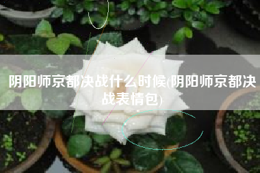 阴阳师京都决战什么时候(阴阳师京都决战表情包)
