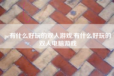 pc有什么好玩的双人游戏,有什么好玩的双人电脑游戏