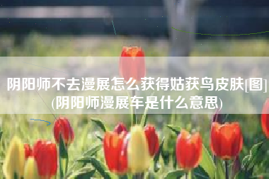 阴阳师不去漫展怎么获得姑获鸟皮肤[图](阴阳师漫展车是什么意思)