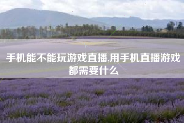 手机能不能玩游戏直播,用手机直播游戏都需要什么