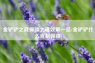 金铲铲之战保镖之魂效果一览(金铲铲什么克制保镖)