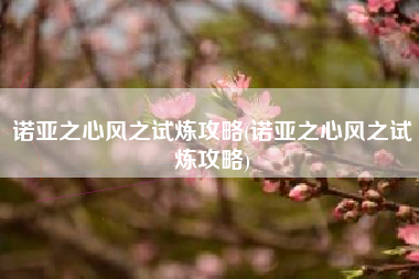 诺亚之心风之试炼攻略(诺亚之心风之试炼攻略)