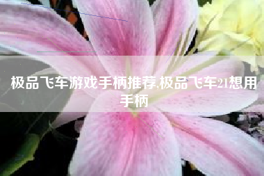 极品飞车游戏手柄推荐,极品飞车21想用手柄