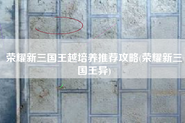 荣耀新三国王越培养推荐攻略(荣耀新三国王异)