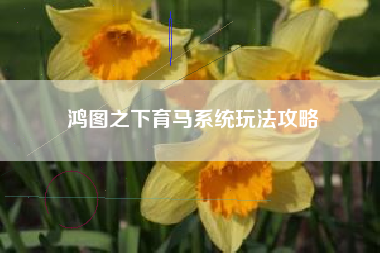 鸿图之下育马系统玩法攻略