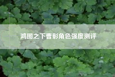 鸿图之下曹彰角色强度测评
