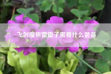 飞剑魔斩雷震子需要什么装备