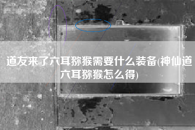 道友来了六耳猕猴需要什么装备(神仙道六耳猕猴怎么得)