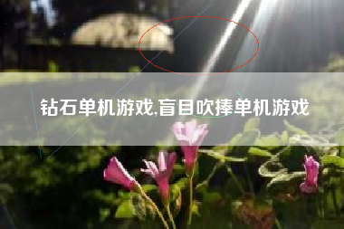 钻石单机游戏,盲目吹捧单机游戏