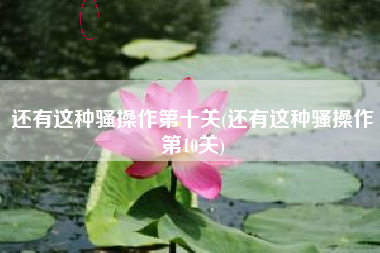 还有这种骚操作第十关(还有这种骚操作第10关)