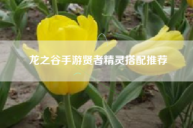 龙之谷手游贤者精灵搭配推荐