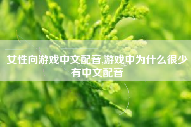 女性向游戏中文配音,游戏中为什么很少有中文配音