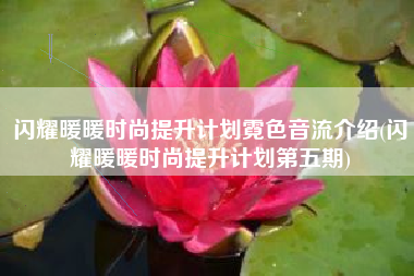 闪耀暖暖时尚提升计划霓色音流介绍(闪耀暖暖时尚提升计划第五期)