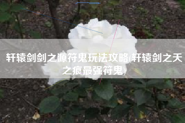 轩辕剑剑之源符鬼玩法攻略(轩辕剑之天之痕最强符鬼)