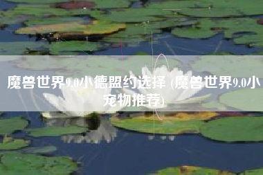 魔兽世界9.0小德盟约选择 (魔兽世界9.0小宠物推荐)