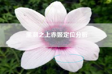黑潮之上赤姬定位分析