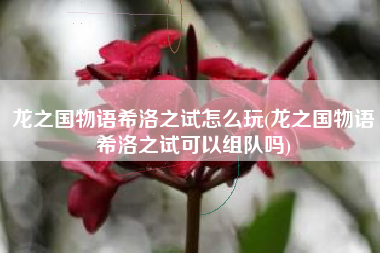 龙之国物语希洛之试怎么玩(龙之国物语希洛之试可以组队吗)