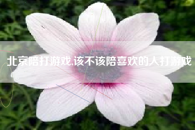 北京陪打游戏,该不该陪喜欢的人打游戏