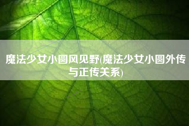 魔法少女小圆风见野(魔法少女小圆外传与正传关系)