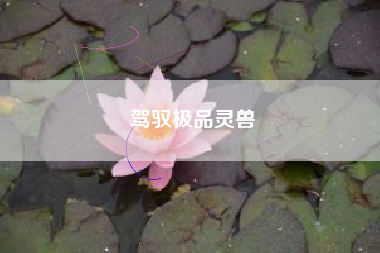 驾驭极品灵兽