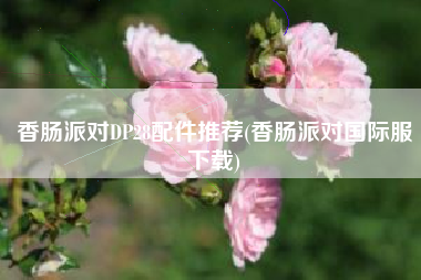 香肠派对DP28配件推荐(香肠派对国际服下载)