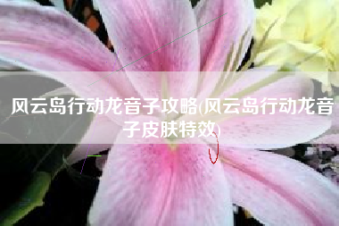 风云岛行动龙音子攻略(风云岛行动龙音子皮肤特效)