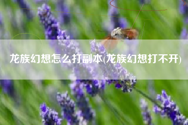 龙族幻想怎么打副本(龙族幻想打不开)