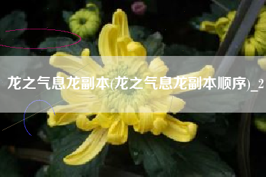 龙之气息龙副本(龙之气息龙副本顺序)_2