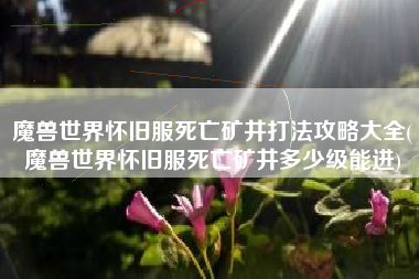 魔兽世界怀旧服死亡矿井打法攻略大全(魔兽世界怀旧服死亡矿井多少级能进)