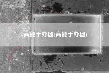 高能手办团(高能手办团)