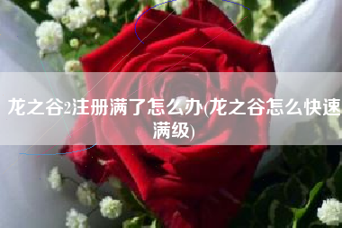 龙之谷2注册满了怎么办(龙之谷怎么快速满级)