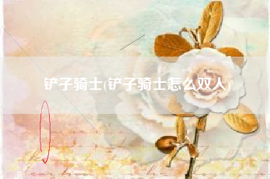 铲子骑士(铲子骑士怎么双人)