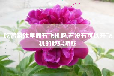 吃鸡游戏里面有飞机吗,有没有可以开飞机的吃鸡游戏