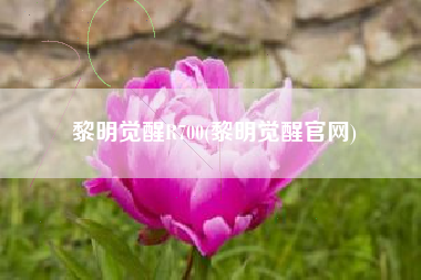 黎明觉醒R700(黎明觉醒官网)
