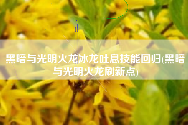 黑暗与光明火龙冰龙吐息技能回归(黑暗与光明火龙刷新点)