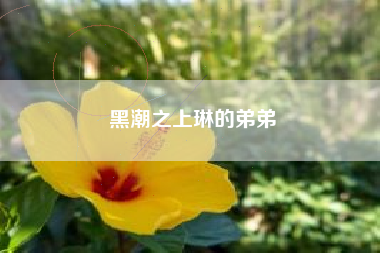 黑潮之上琳的弟弟