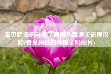 看见飘扬的斗篷了吗前九章通关流程攻略(看见飘扬的斗篷了吗图片)